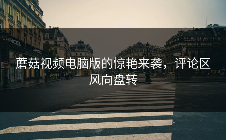 蘑菇视频电脑版的惊艳来袭，评论区风向盘转