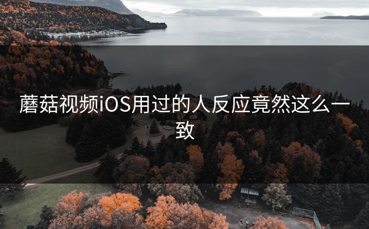 蘑菇视频iOS用过的人反应竟然这么一致